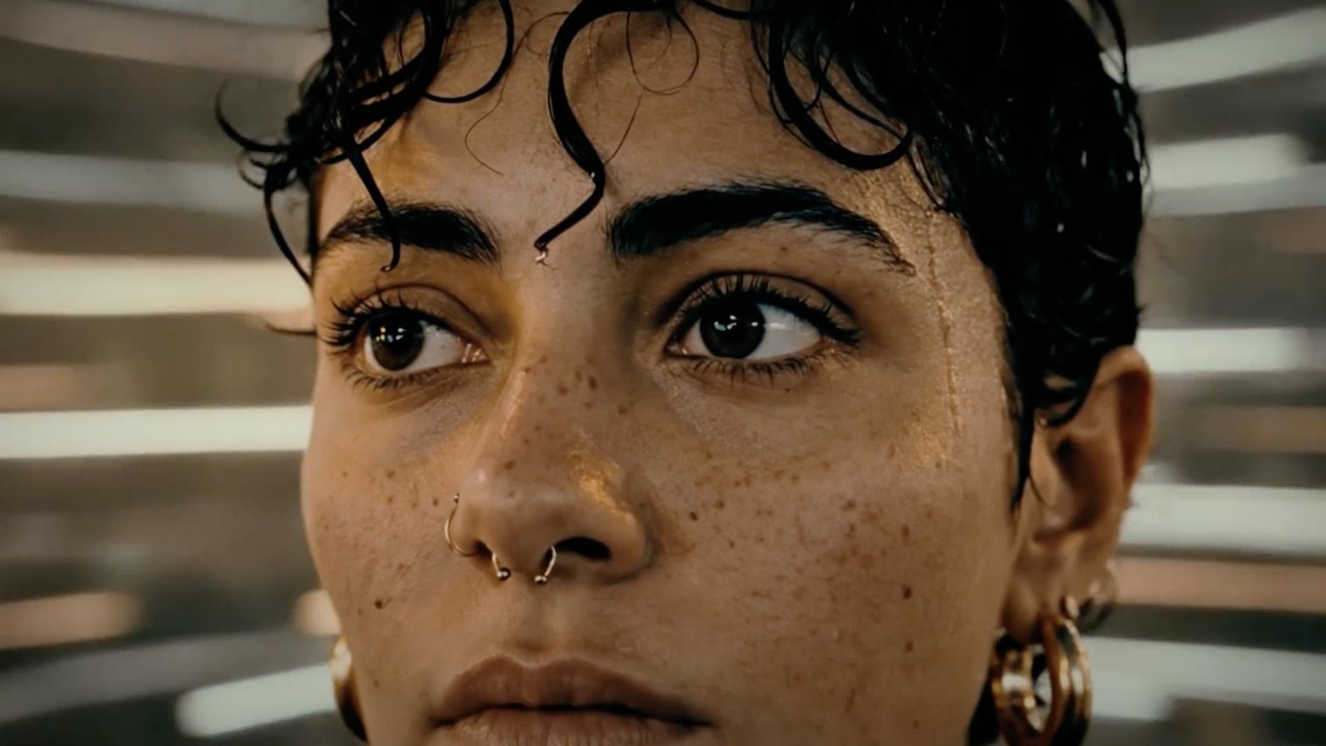 WNTD — The Living Shopping Experience